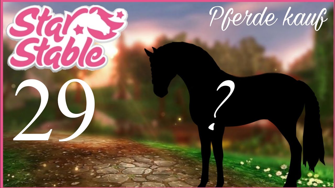 Die NEUEN Andalusier :D (sso Pferdekauf )