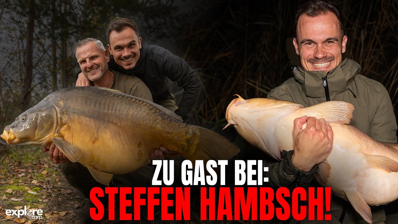 Fangen wir den Riesenkarpfen?! 👀 Steffen Hambsch | Fox International | Gewinnspiel