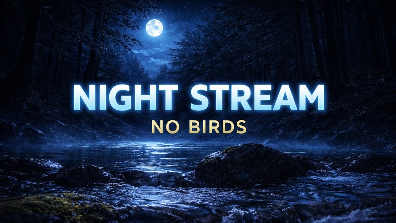 Gentle Night Forest Stream 🌙 1 Hours Pure Water Sounds for Deep Sleep (No Birds)