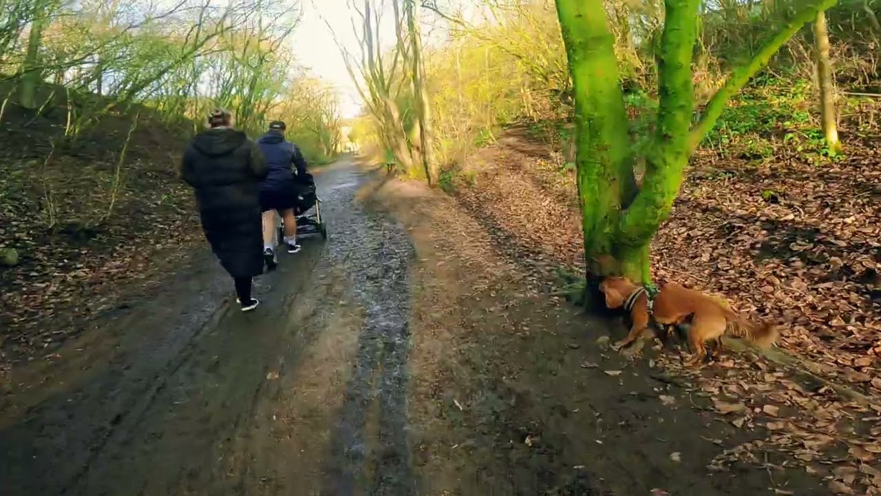Wynyard Woodland Parkrun route