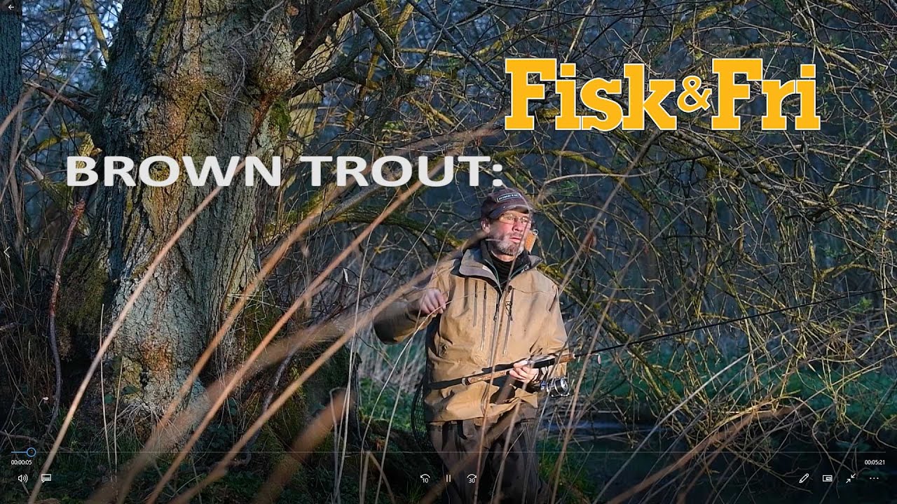 Browntrout: With spinner and claw connector in the river