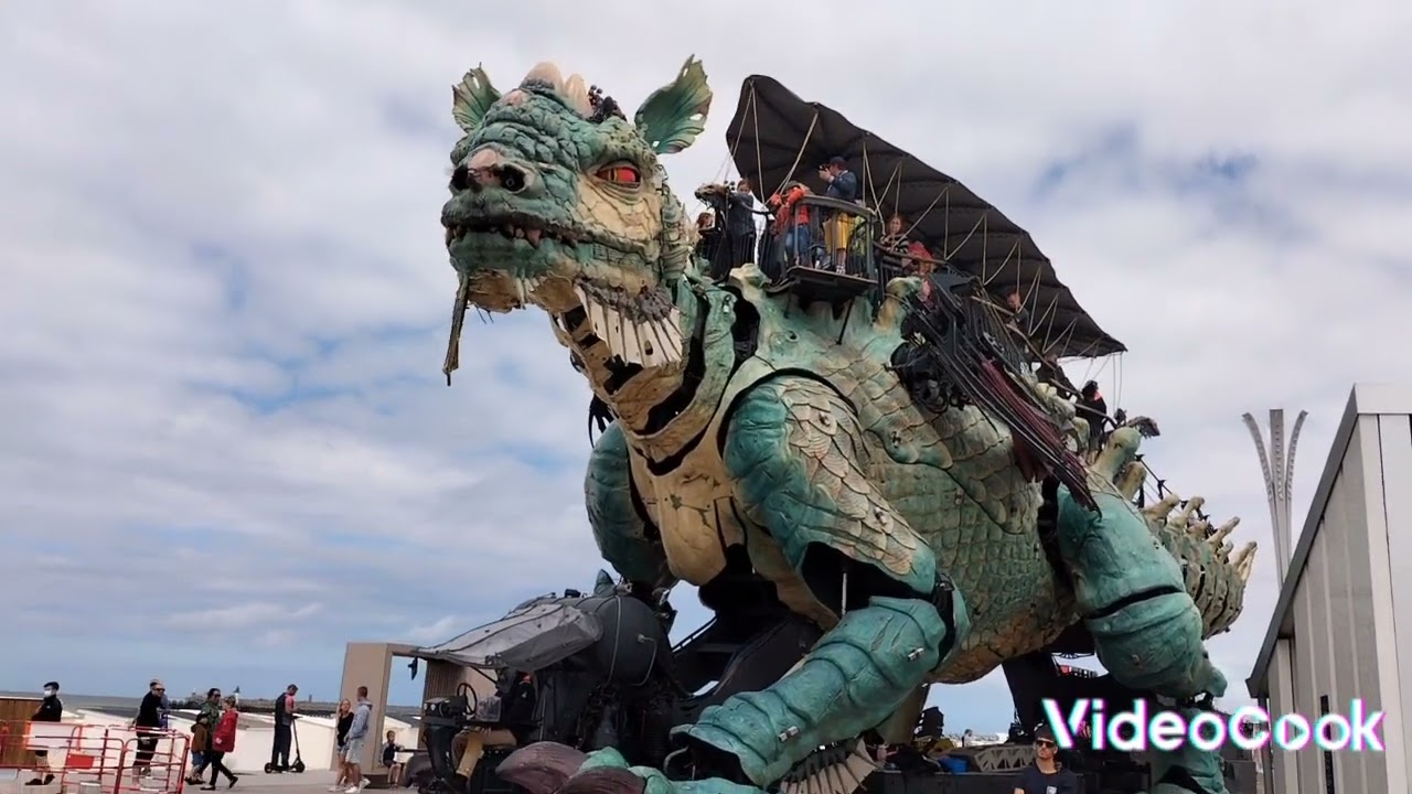 le dragon de calais