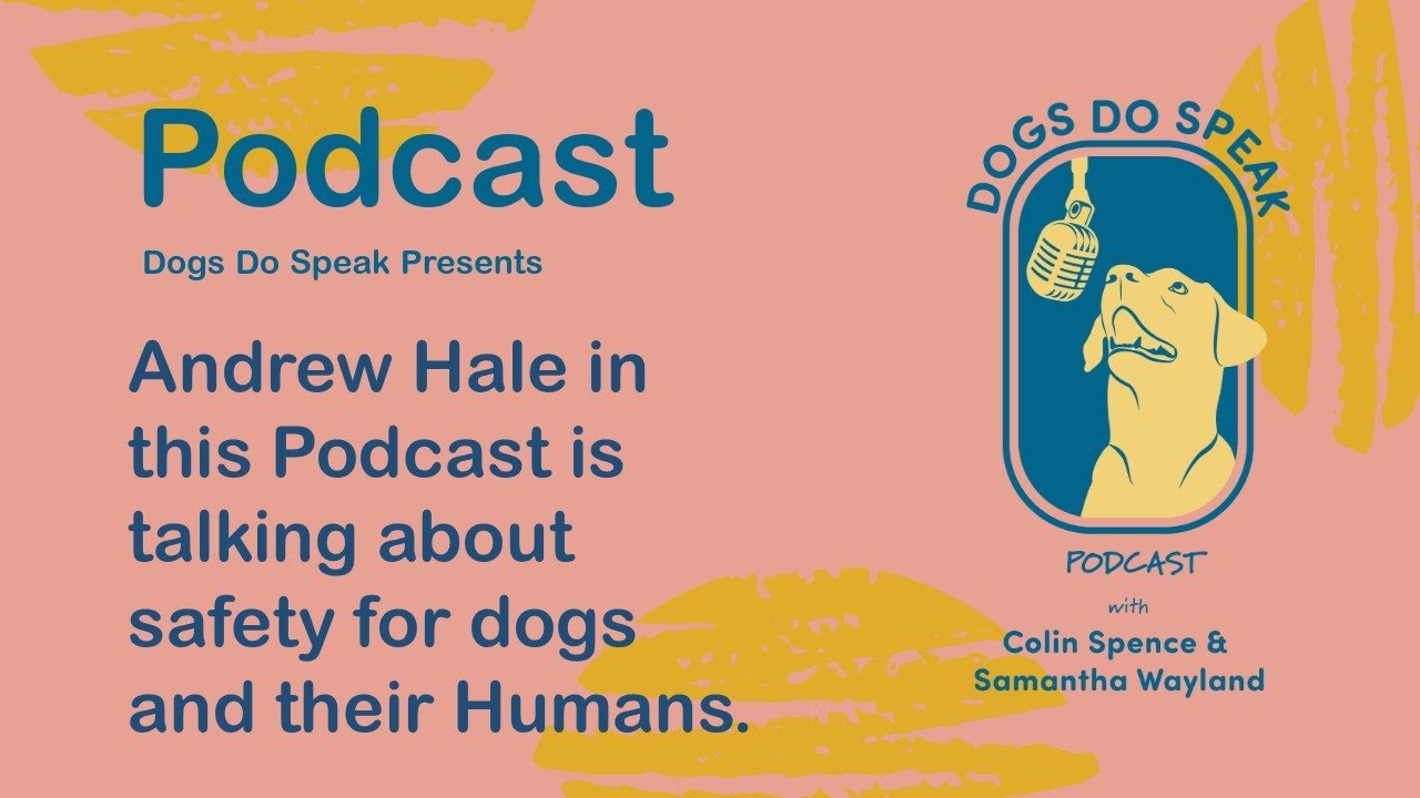 Safety First for dogs and their Humans.