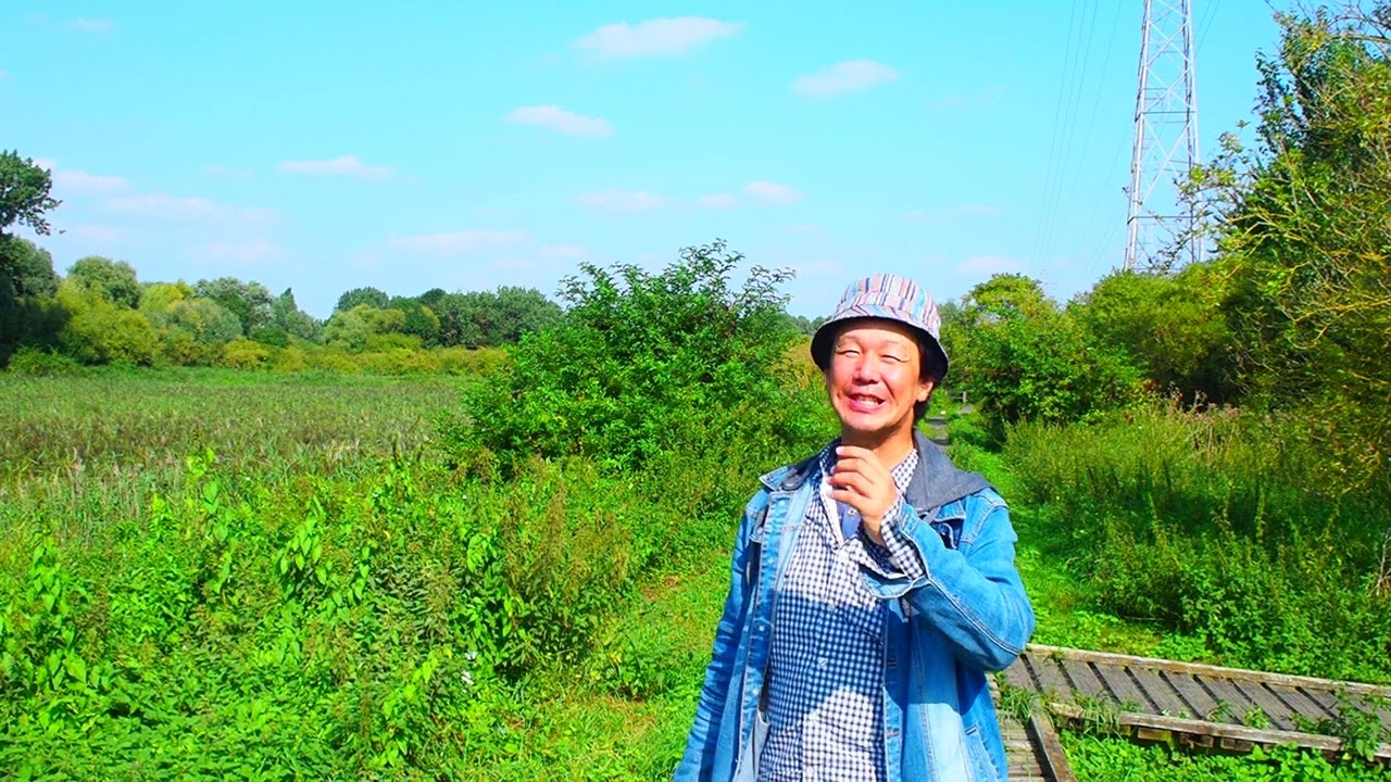中村晃子が再ブレイクした大ヒット曲『恋の綱渡り』を歌う！#昭和のポップス歌謡 #ドラマ主題歌 #昭和歌謡曲 #中村晃子 #懐メロ #三木たかし #昭和のドラマ #和風シャンソン #80年代のヒット曲