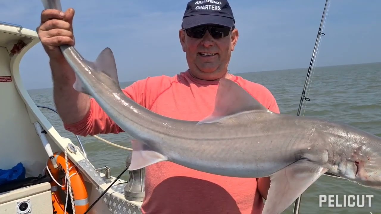 Thames Estuary boat angling aboard  BRAVEHEARTII