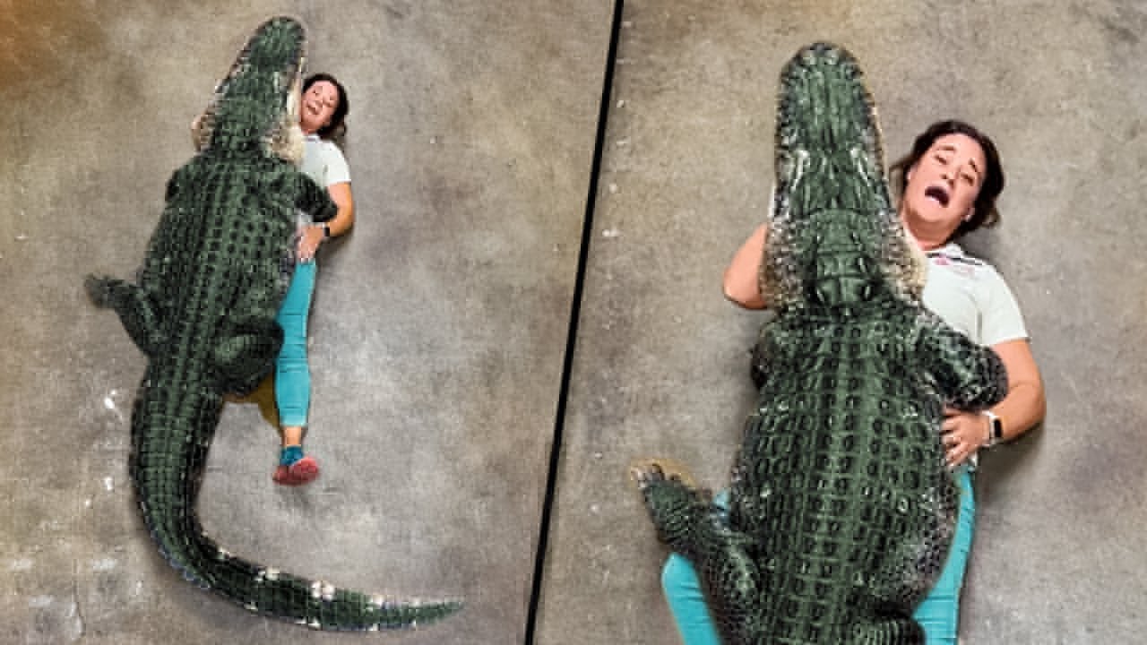 Incredible Animal Moments Caught on Camera
