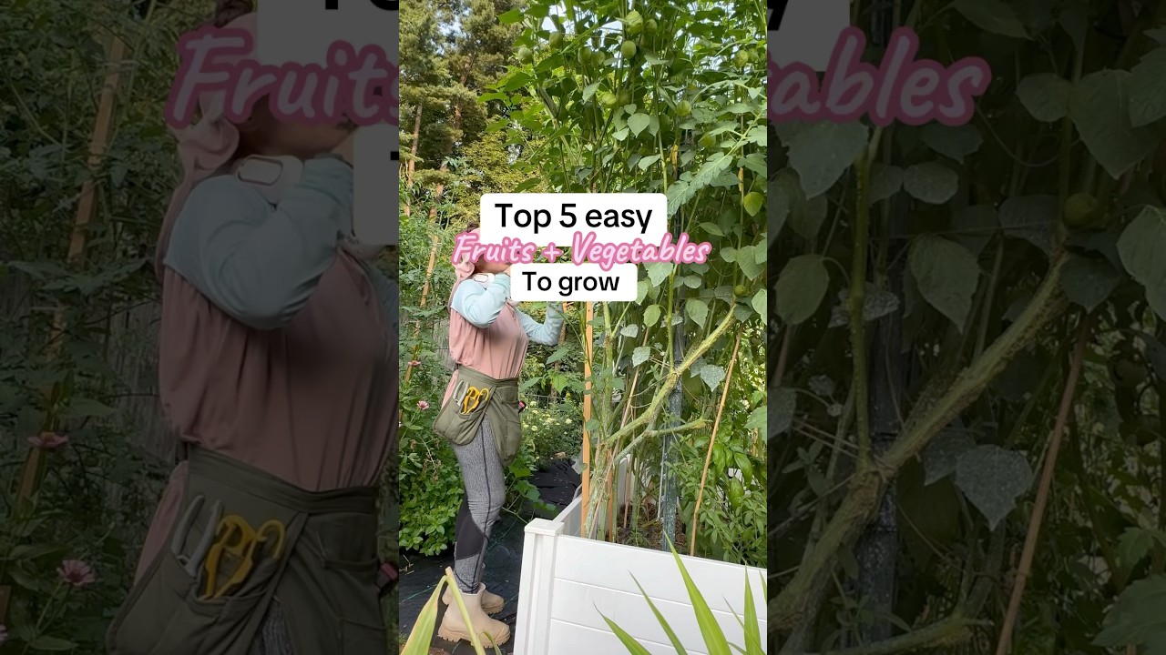 Top 5 easy fruits and vegetables to grow 
