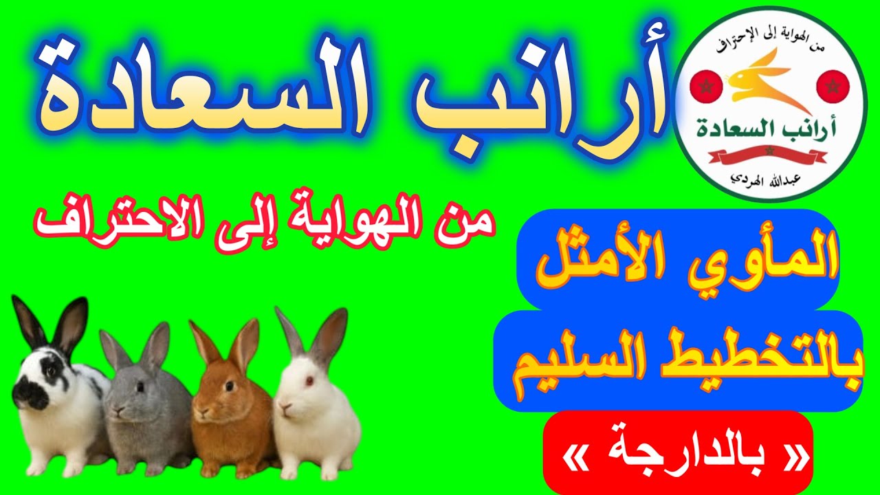 الفيديو رقم 20 { المأوى الأمثل للأرانب ـ خطوات التخطيط السليم } بالدارجة