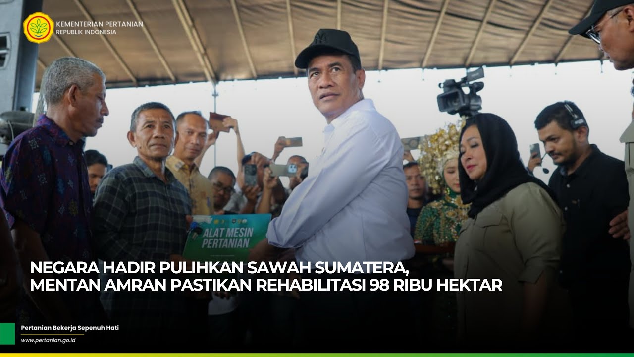 Negara Hadir Pulihkan Sawah Sumatera, Mentan Amran Pastikan Rehabilitasi 98 Ribu Hektar