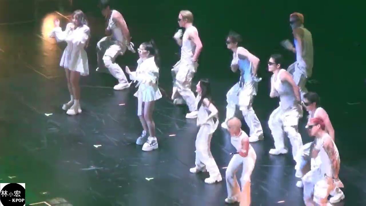 20250208 2NE1 Taiwan 演唱會 完整版