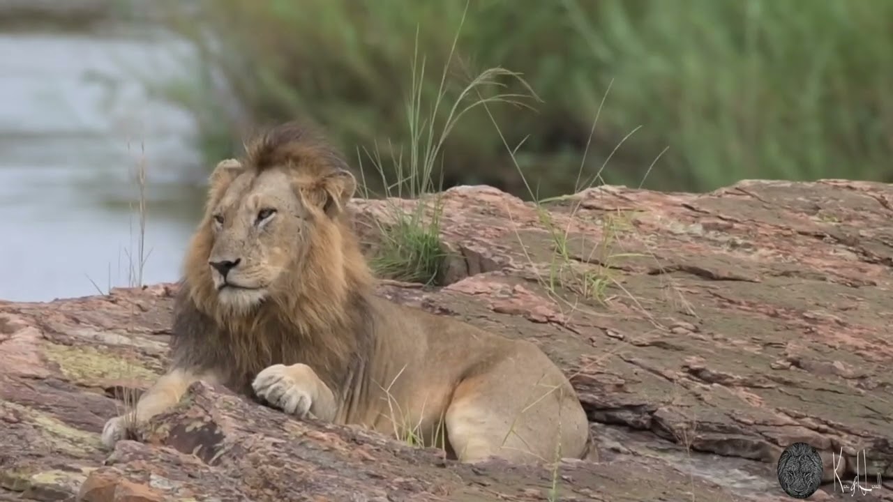 Kruger National Park, April 2022