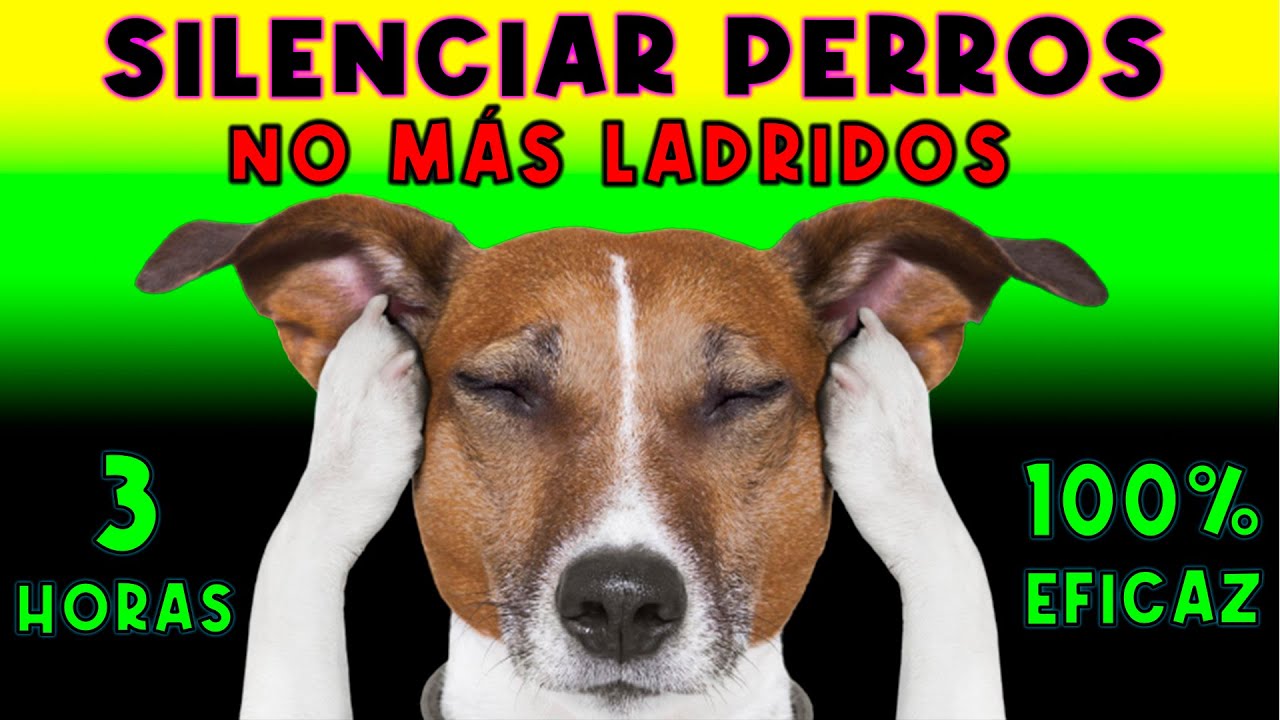 SONIDO REPELENTE DE PERROS ULTRASONICO - AHUYENTA Y CALLA PERROS MOLESTOS