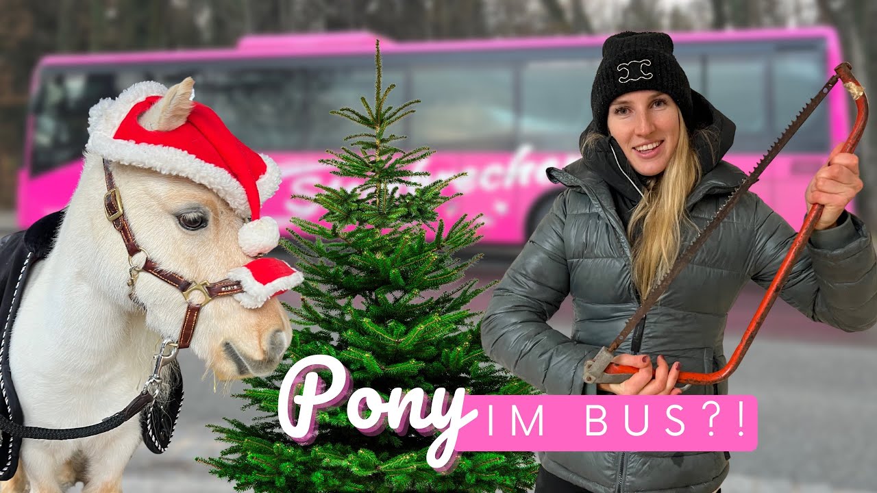 PONY im BUS😨🔥