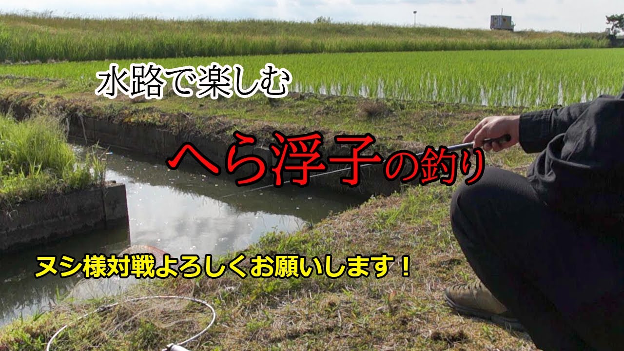 ヘラブナ釣り用のヘラ浮子で水路の鯉釣り　小物釣りの道具があれば初心者でもかんたん野釣り 【霞ヶ浦】