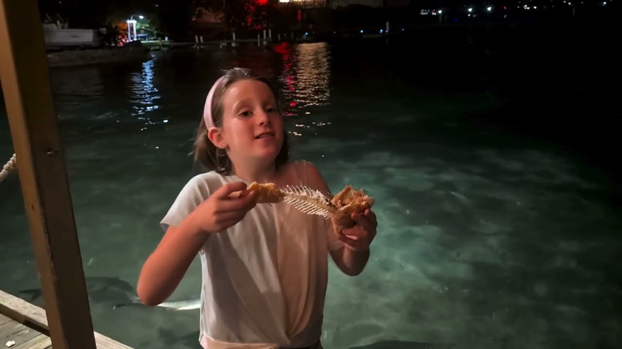 Feeding Fish - Culebra Island