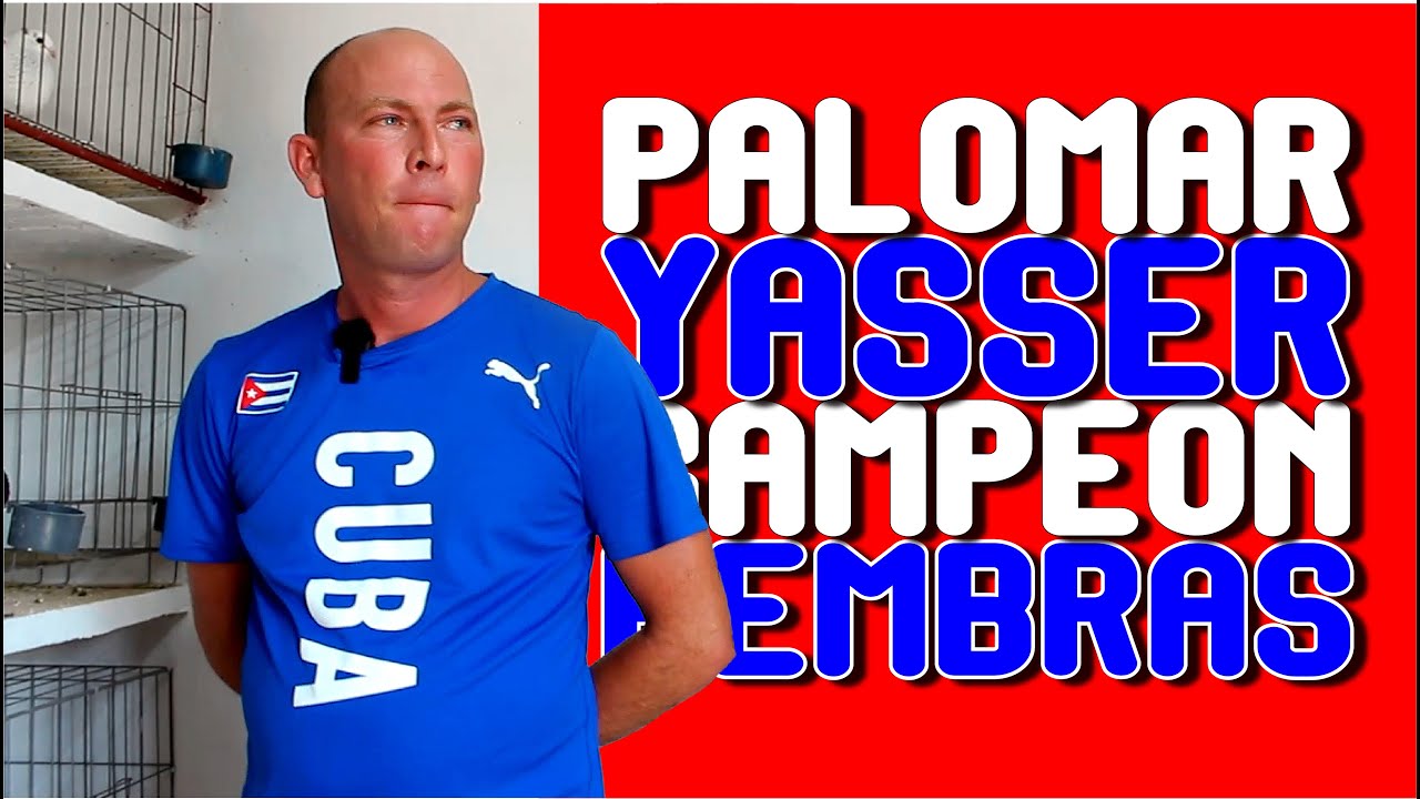 CAPTURANDO PALOMA en el PALOMAR DE YASSER. CAMPEON DE CHAMPIONS. NOVATO DEL AÑO 2023.