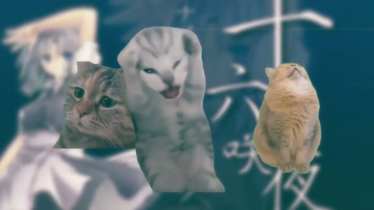 猫ミーム・オブ・ニャイツ 【音MAD】