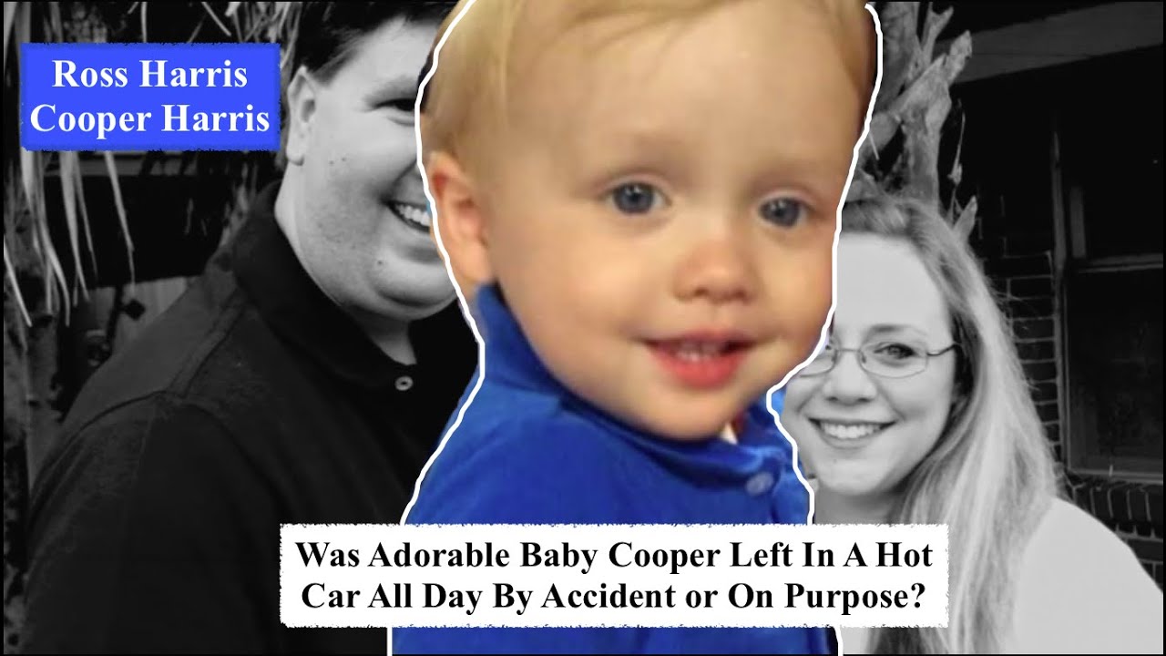 Did Ross Harris Leave Baby Cooper In Hot Car For 7 Hours on Purpose? | Whispered True Crime ASMR