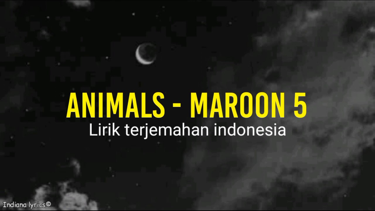 Maroon 5 - Animals ( lirik terjemahan indonesia)
