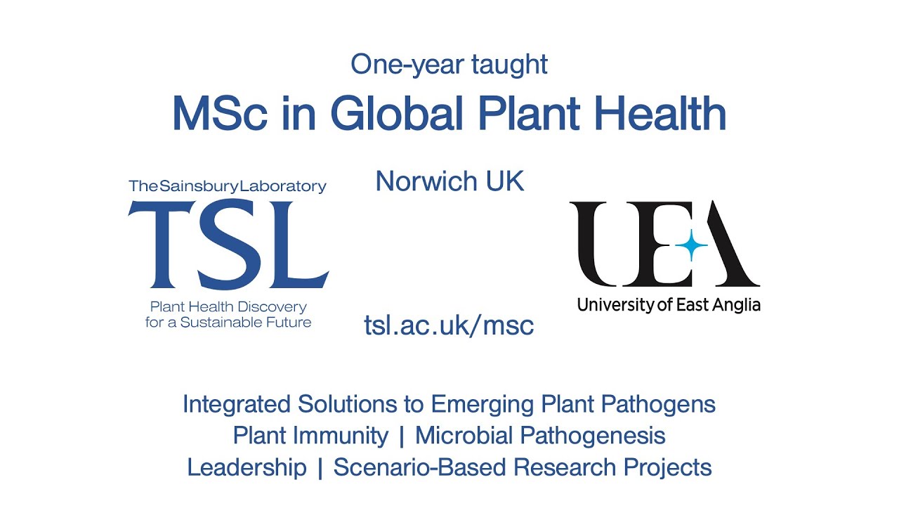 MSc in Global Plant Health - One-year taught course at The Sainsbury Laboratory, Norwich UK