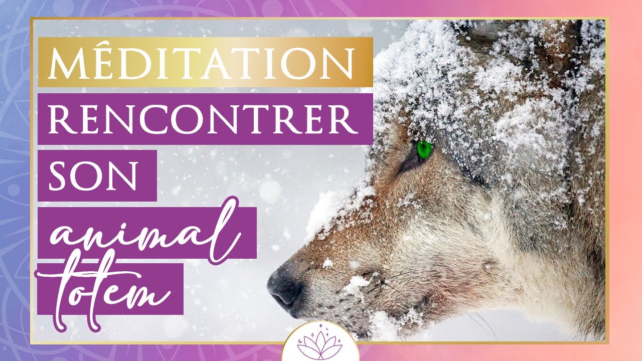 M&eacute;ditation pour rencontrer son animal totem