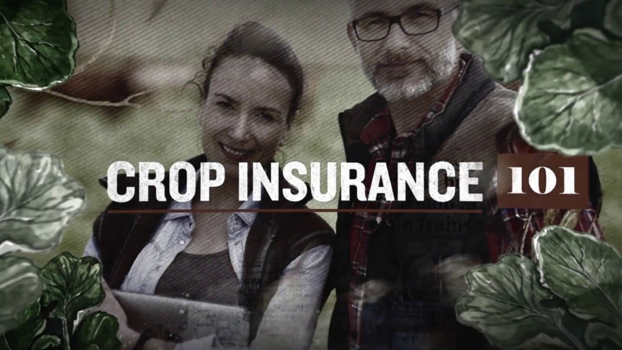 Crop Insurance 101 Video