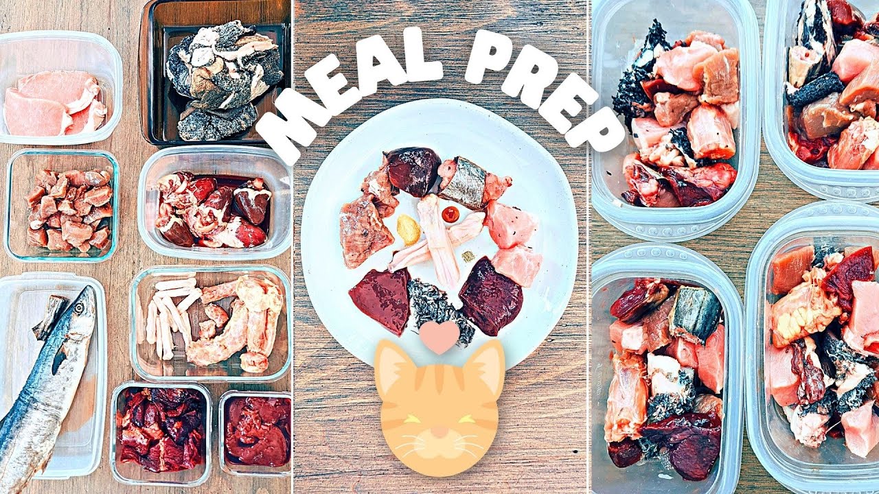 How I Meal Prep Raw Food For My Cat (Full Week)