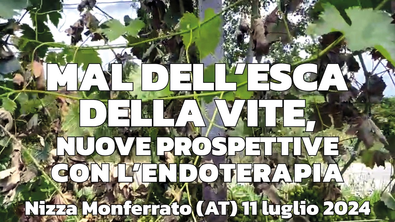 MAL DELL’ESCA DELLA VITE, NUOVE PROSPETTIVE CON L’ENDOTERAPIA