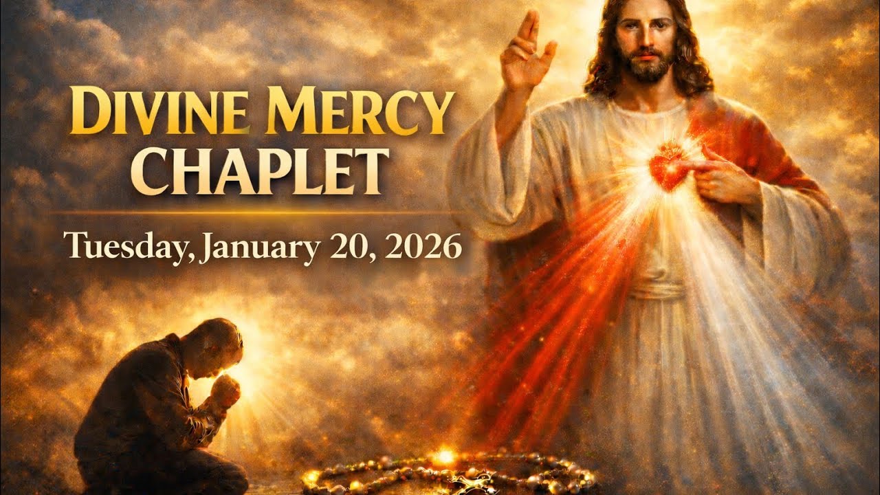 Divine Mercy Chaplet for Today | Tuesday January 20, 2026 | Jesus I Trust in You