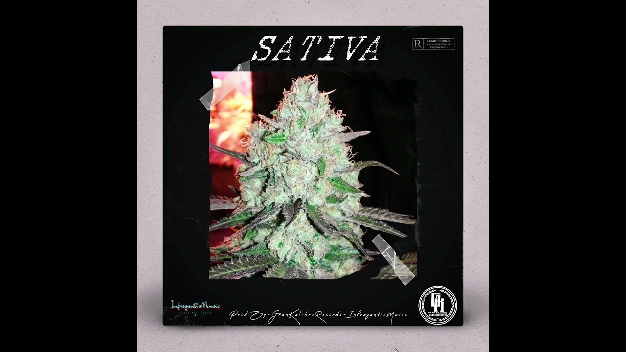 Sativa-2ble C(Prod by GranKalibreRecords-InfragantisMusic)