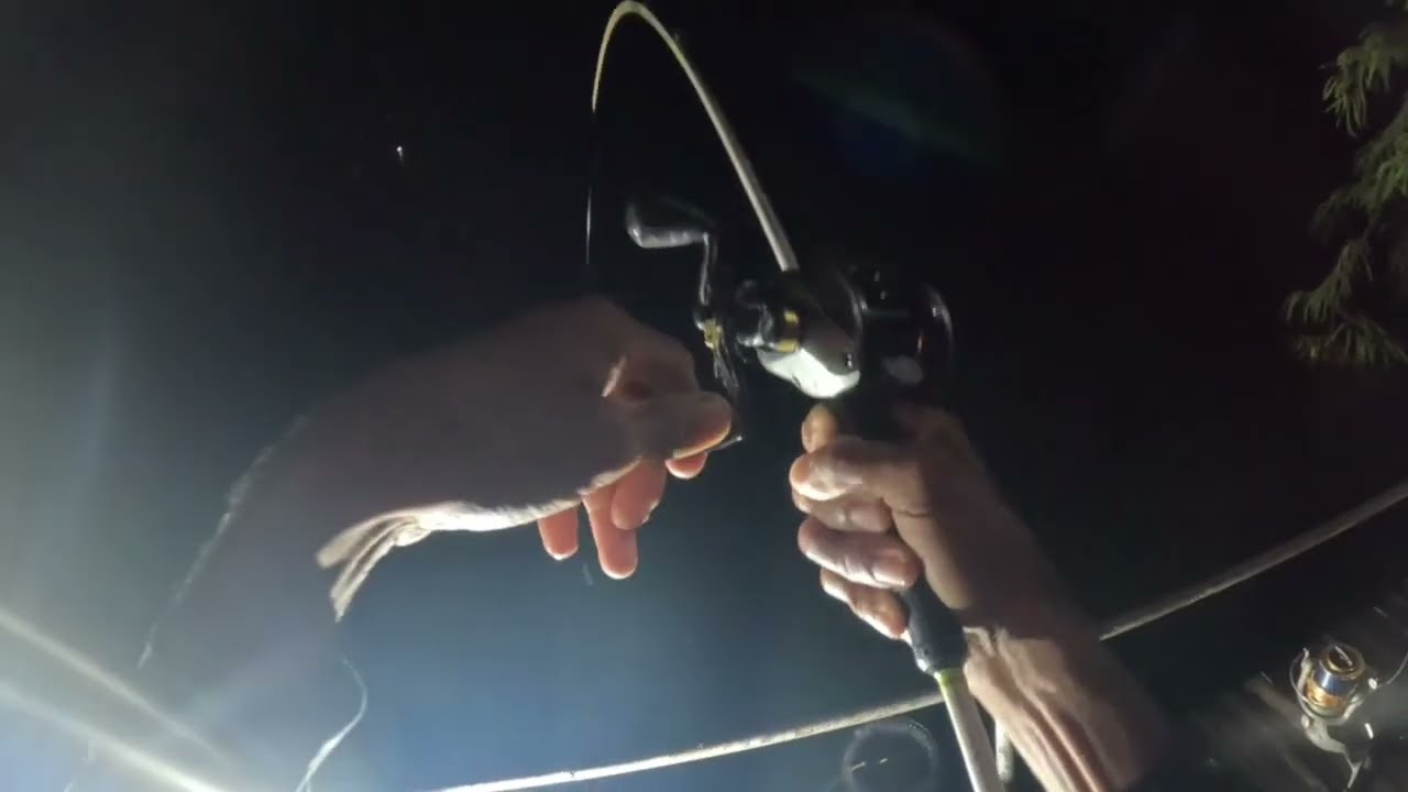 Pescaria diurna e noturna barragem de água vermelha muito peixe na ponta da linha