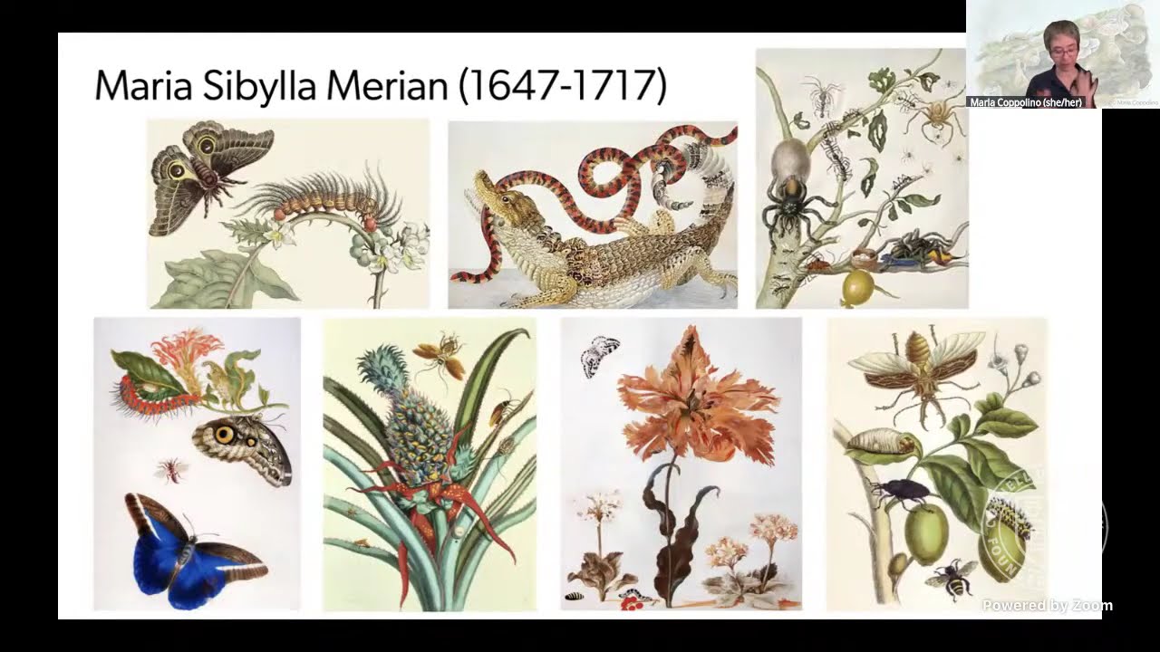 Visualizing Science Through Art on Science in the Virtual & Actual Pub