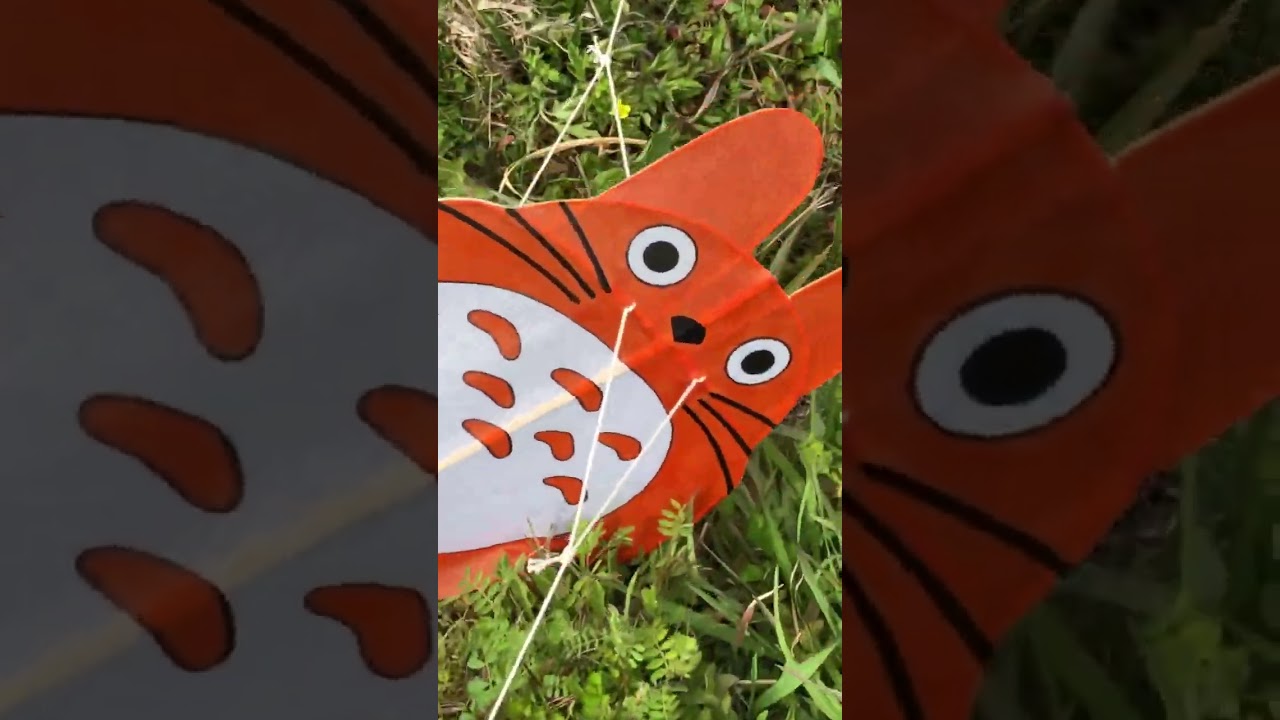 まっくろくろすけと中トトロミニの連凧