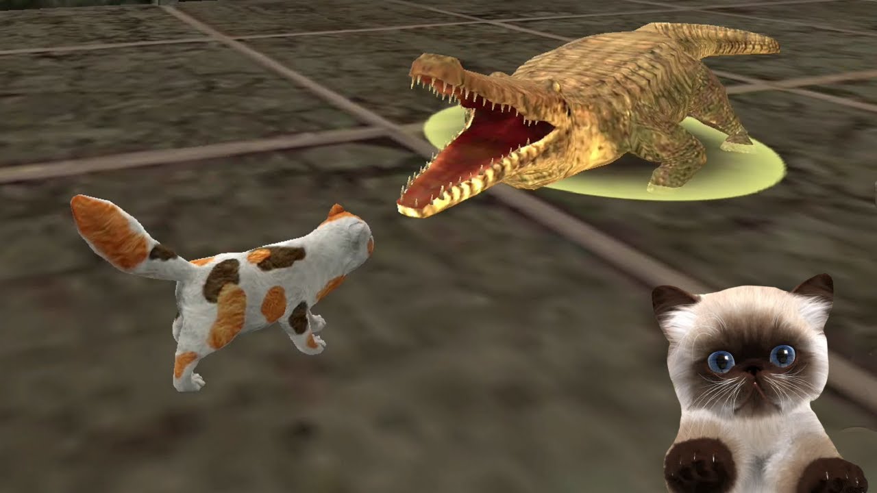 Cat Sim Online: Play with Cats - Boss Battles - Gameplay Episode 19