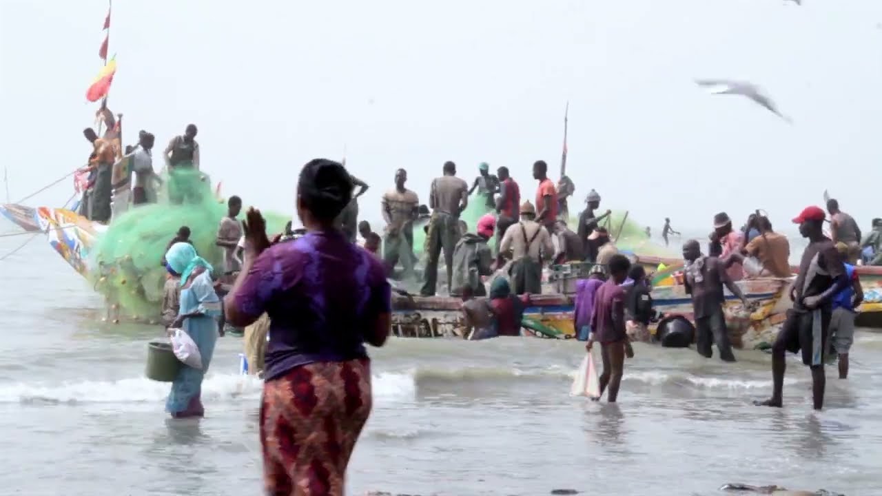 🇬🇲 Beautiful Fishing Beach in The Gambia __ Tanji