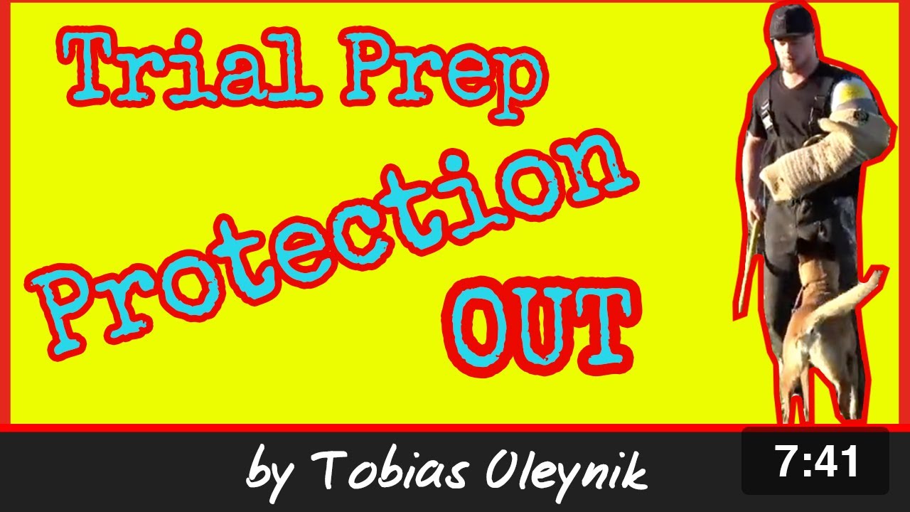 IGP/Schutzhund Protection Trial Prep - OUT in Any Sleeve Position |Online Dog Training by T. Oleynik