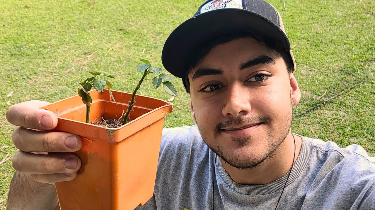 Fazendo mudas de sementes e estaqueas no sítio 🪴🌱