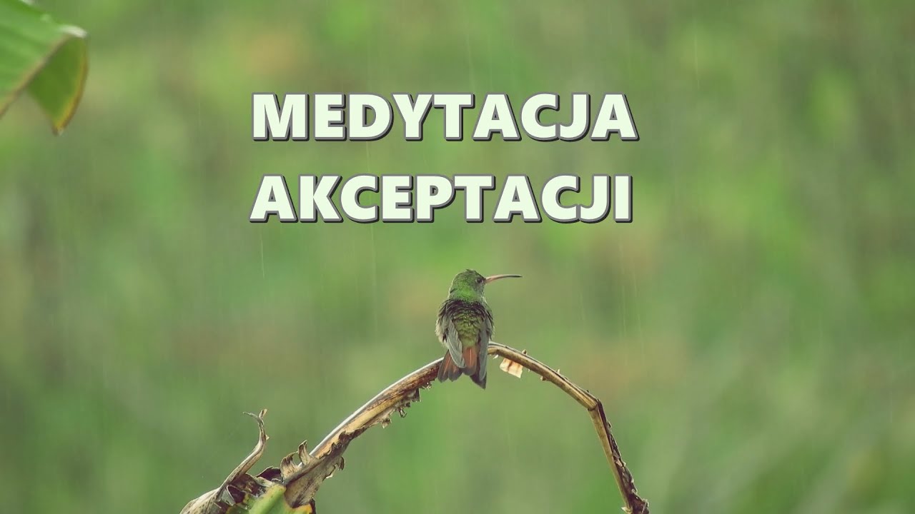 Medytacja Akceptacji - Pokochaj Siebie