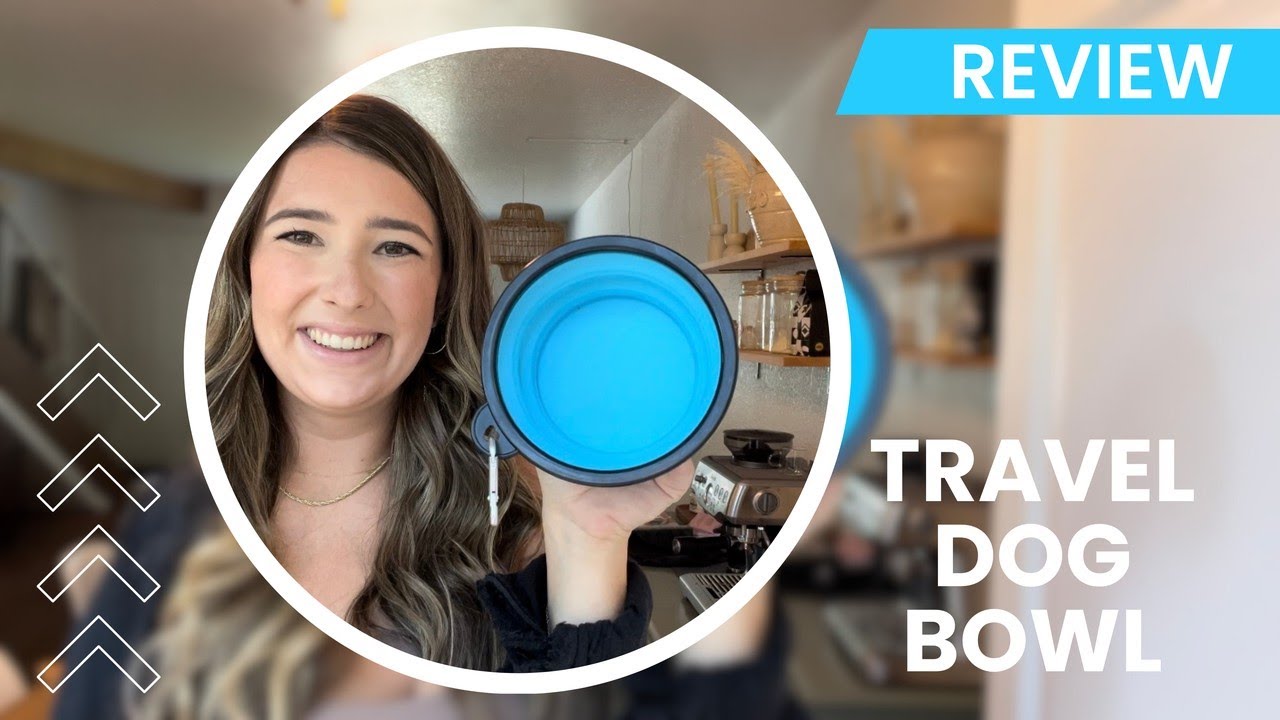Review - Collapsible Travel Dog Bowl