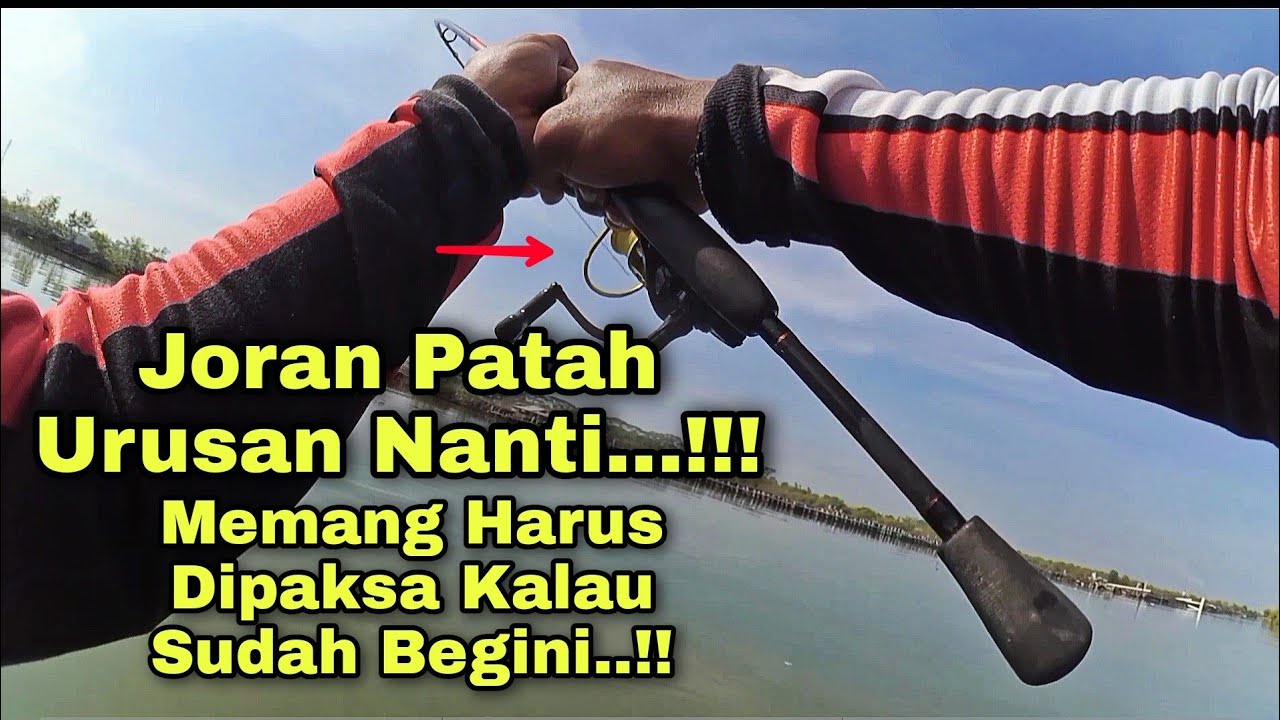 Edyan...‼️Harus Dua Tangan Buat Naikin Ikan Ini...!!!