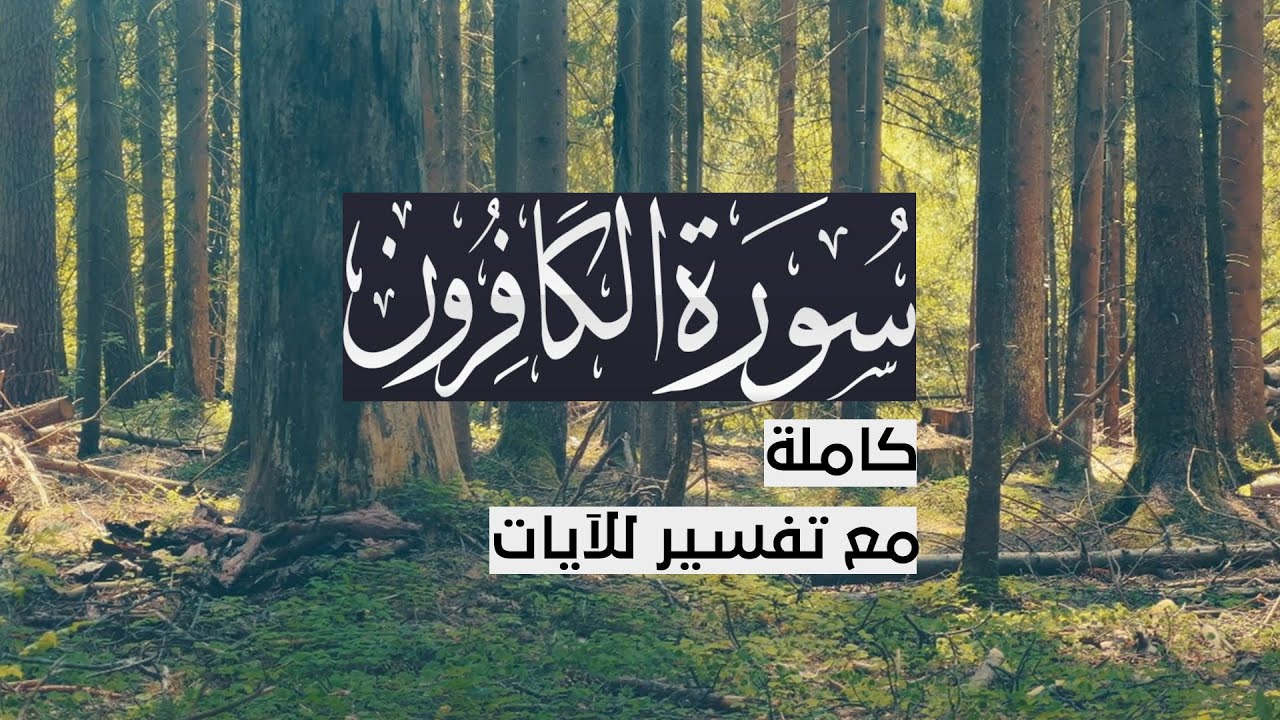 { سورة الكافرون } | حسين آل الشيخ .