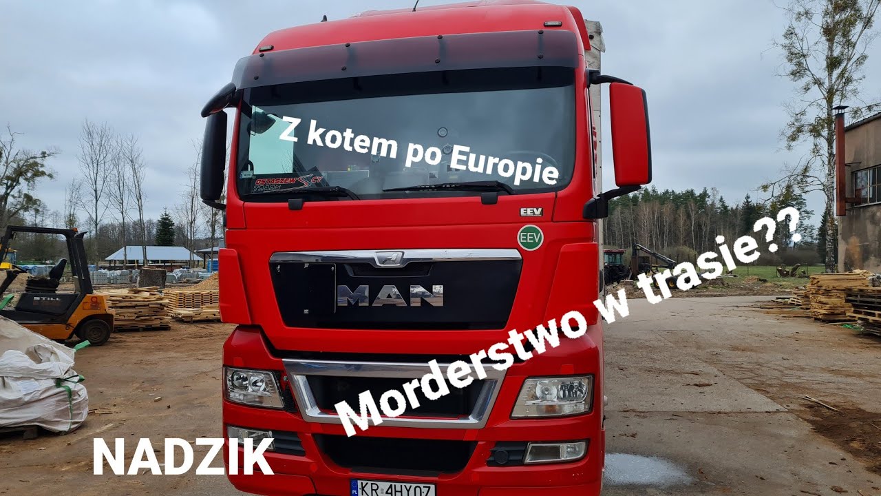 Z kotem po europie, Morderstwo w trasie?🤪 Kierowca Ciężarówki