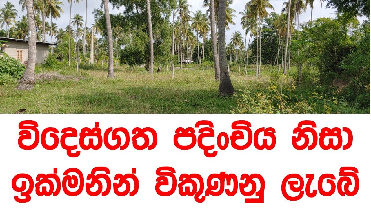 විදෙස්ගත පදිංචිය නිසා ඉක්මනින් විකිණේ | real estate | land for sale | Luxury Sri Lanka | maddumaya