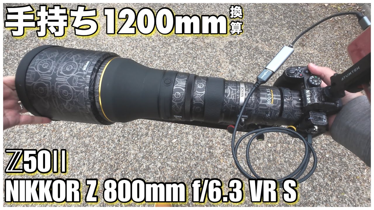 【野鳥撮影】身近な野鳥を手持ち1200mmで朝練探鳥！- Z50Ⅱ × NIKKOR Z 800mm f/6.3 VR S -