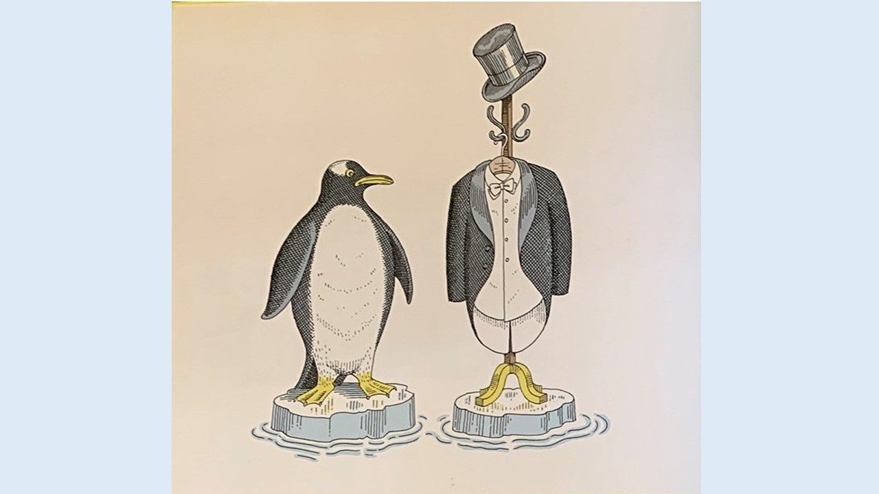 Lot's more animals should definitely not wear clothing  (動物穿戴衣物的搞笑畫面2) 繪本中英文導讀