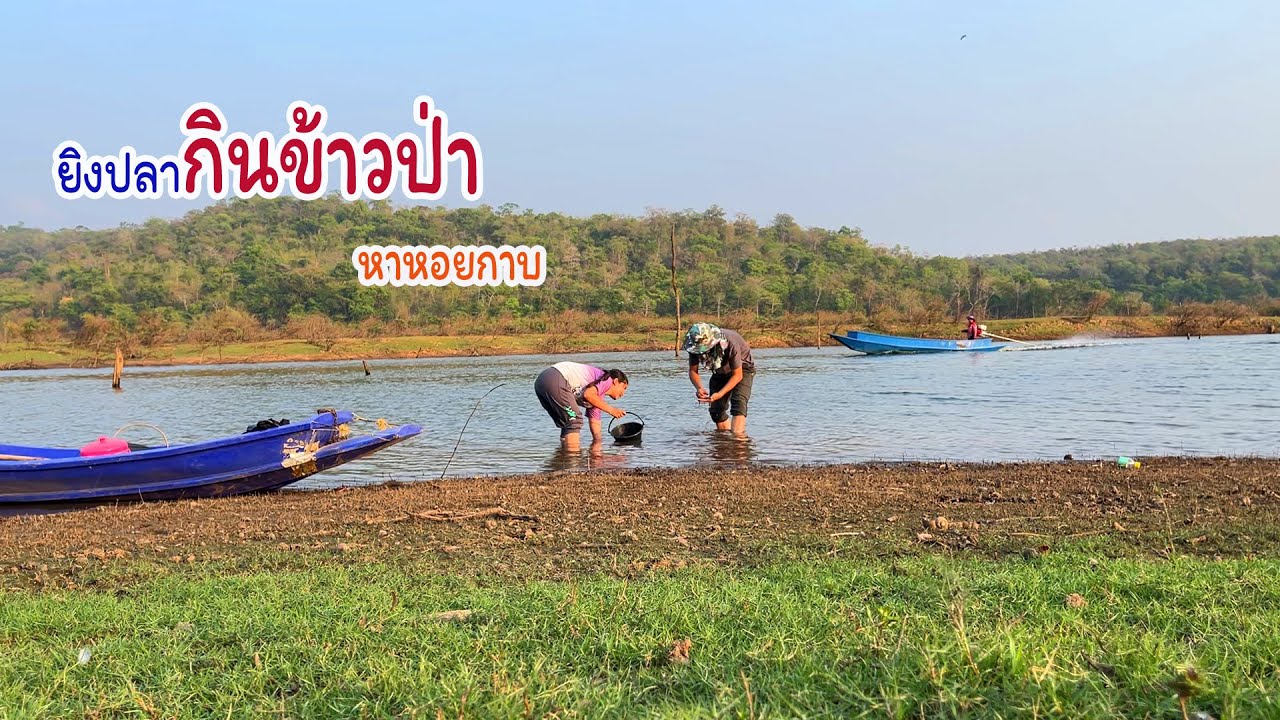 หลบร้อนมาอยู่เถียง ยิงปลากินข้าวป่างมหอยกาบริมเขื่อน