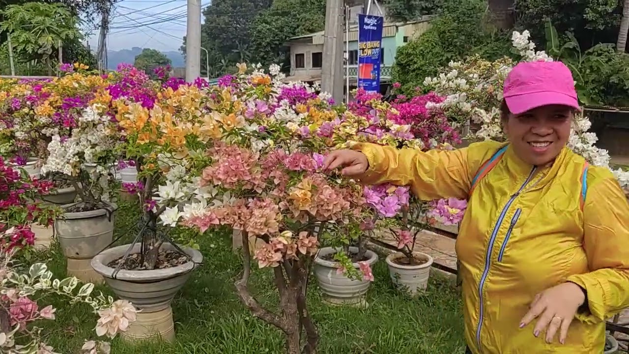 MrM Garden in Sual