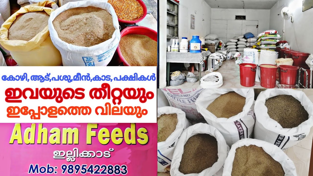 വിവിധ തരം തീറ്റകളും അവയുടെ  ഇപ്പോളത്തെ വിലയും | low cost feeds