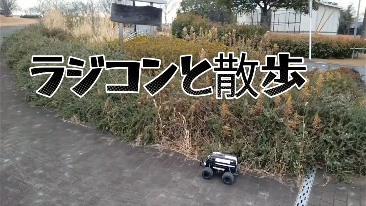 ラジコンと散歩　その六　の六　愚直に走り続ける（従って退屈)篇