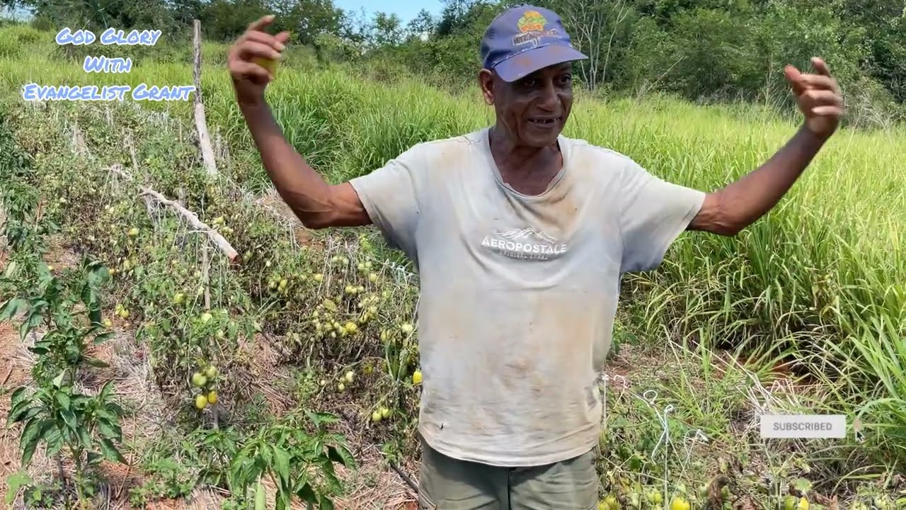 Elder Jamaican farmer offered great encouragement to the farmers who lost their crops